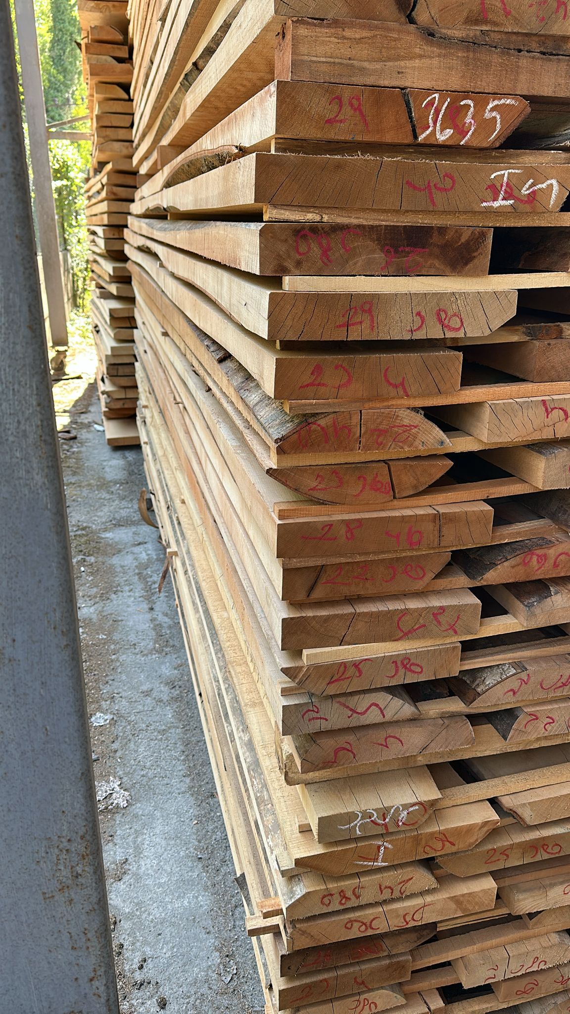 Ceyhun Orman Ürünleri