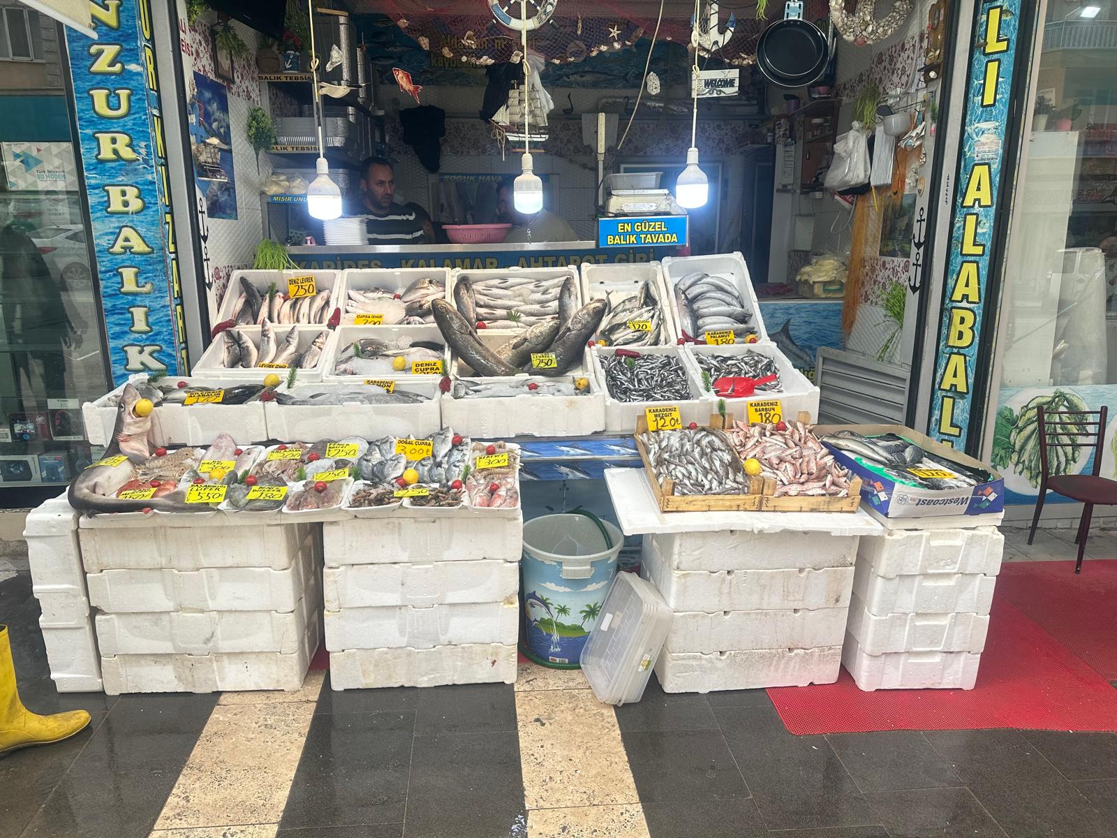 Munzur Balıkçısı