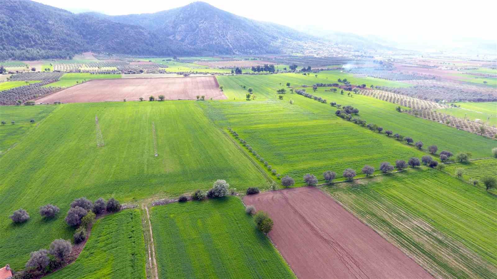 Ulu Kardeşler Her Türlü Bağ ve Bahçe Tarla İşleri