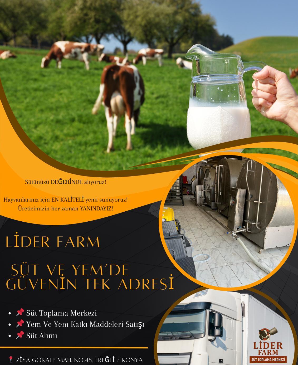 Lider Farm