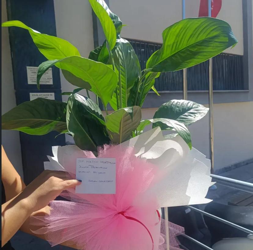 Üniversite Çiçekçilik