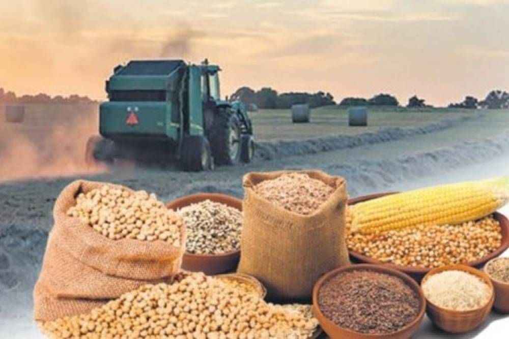 Bozdağı Tarım Ürüneri Tic. Ltd. Şti.