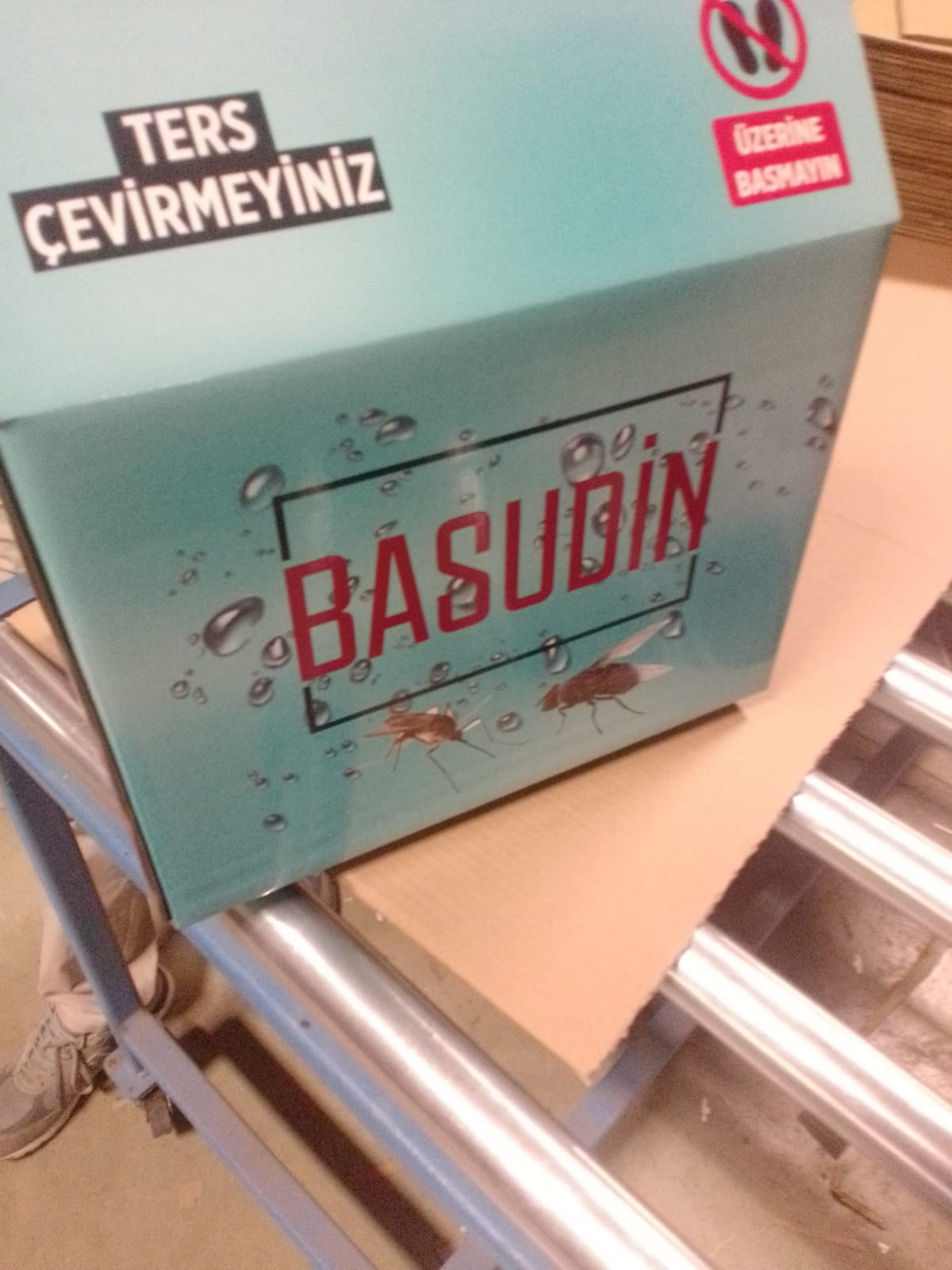 Başkent Kutu Koli