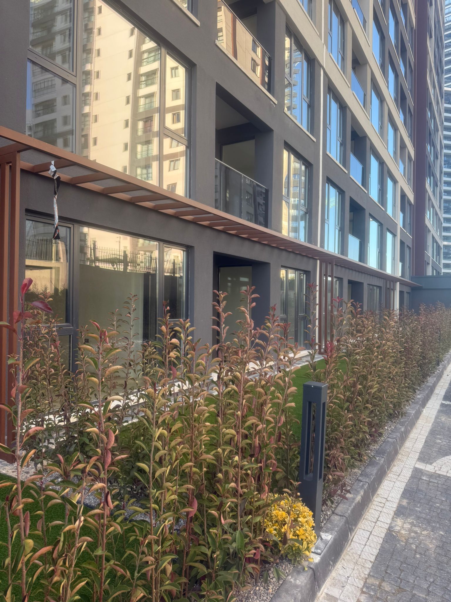 Olgun Erdoğdu Metal