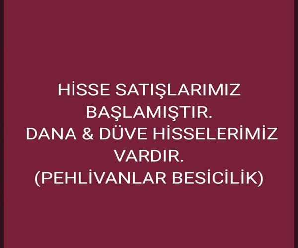 Pehlivanlar Besicilik
