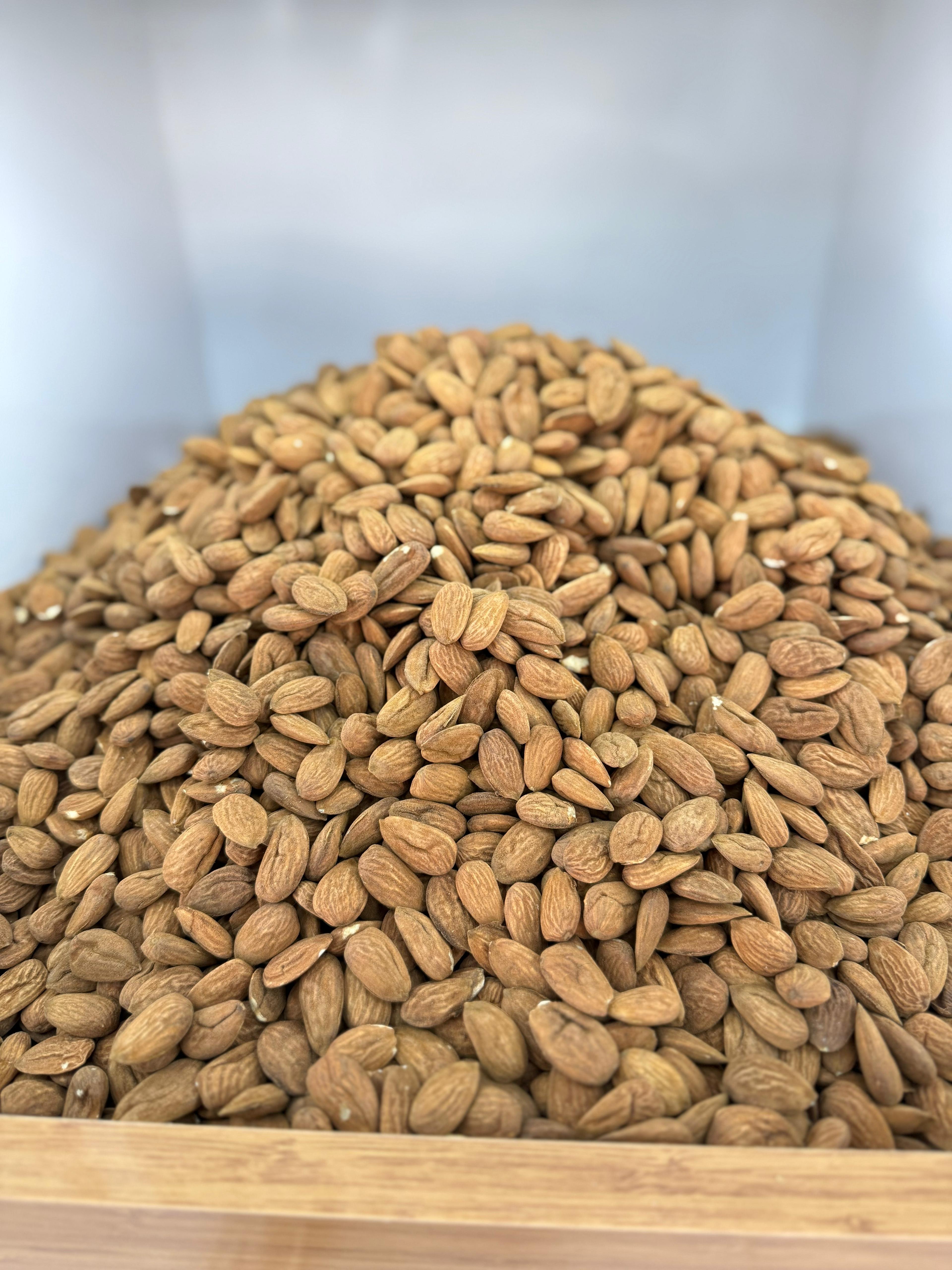 Bereket Şire Dünyası 