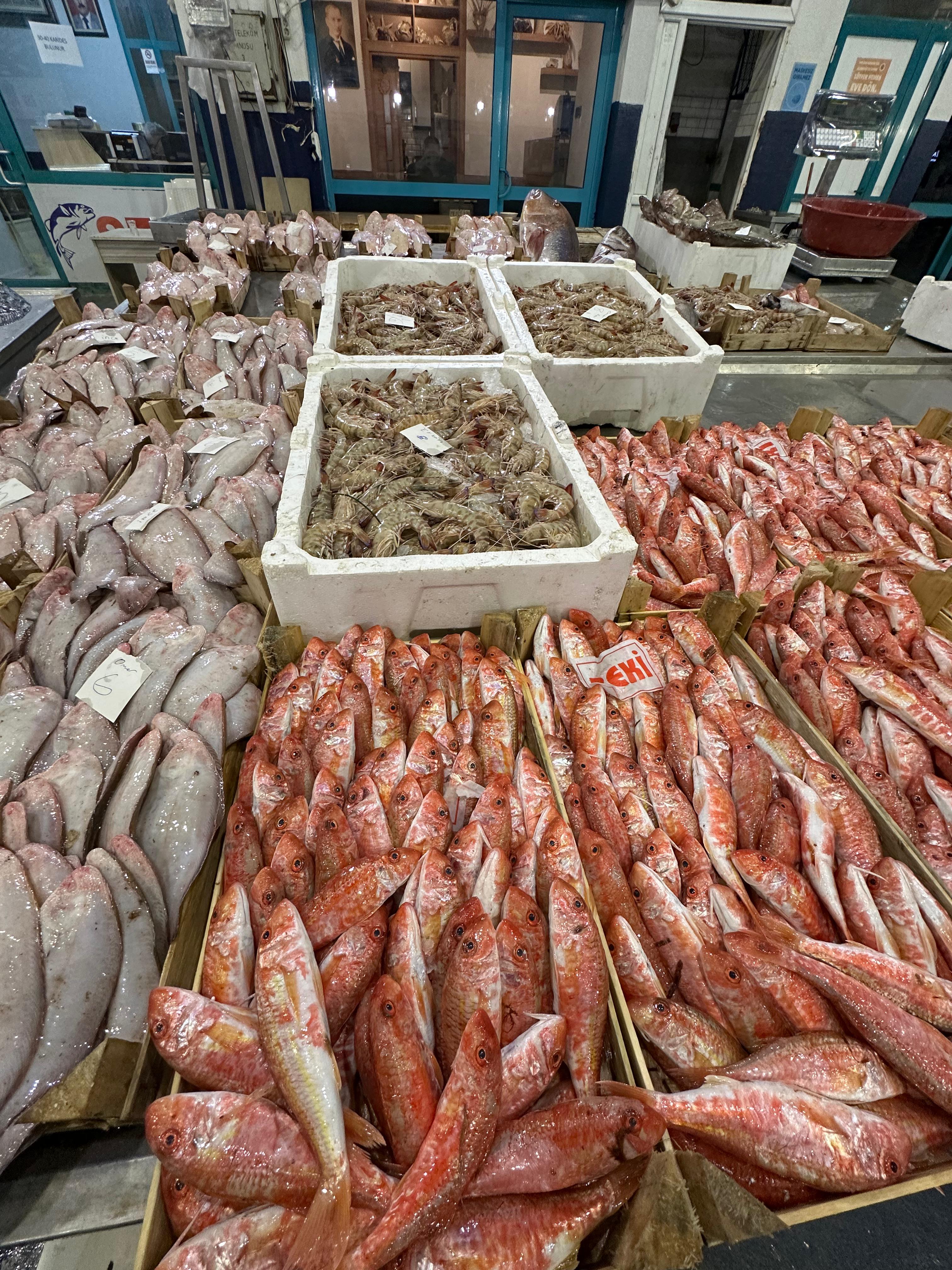 Okyanus Balıkçılık 