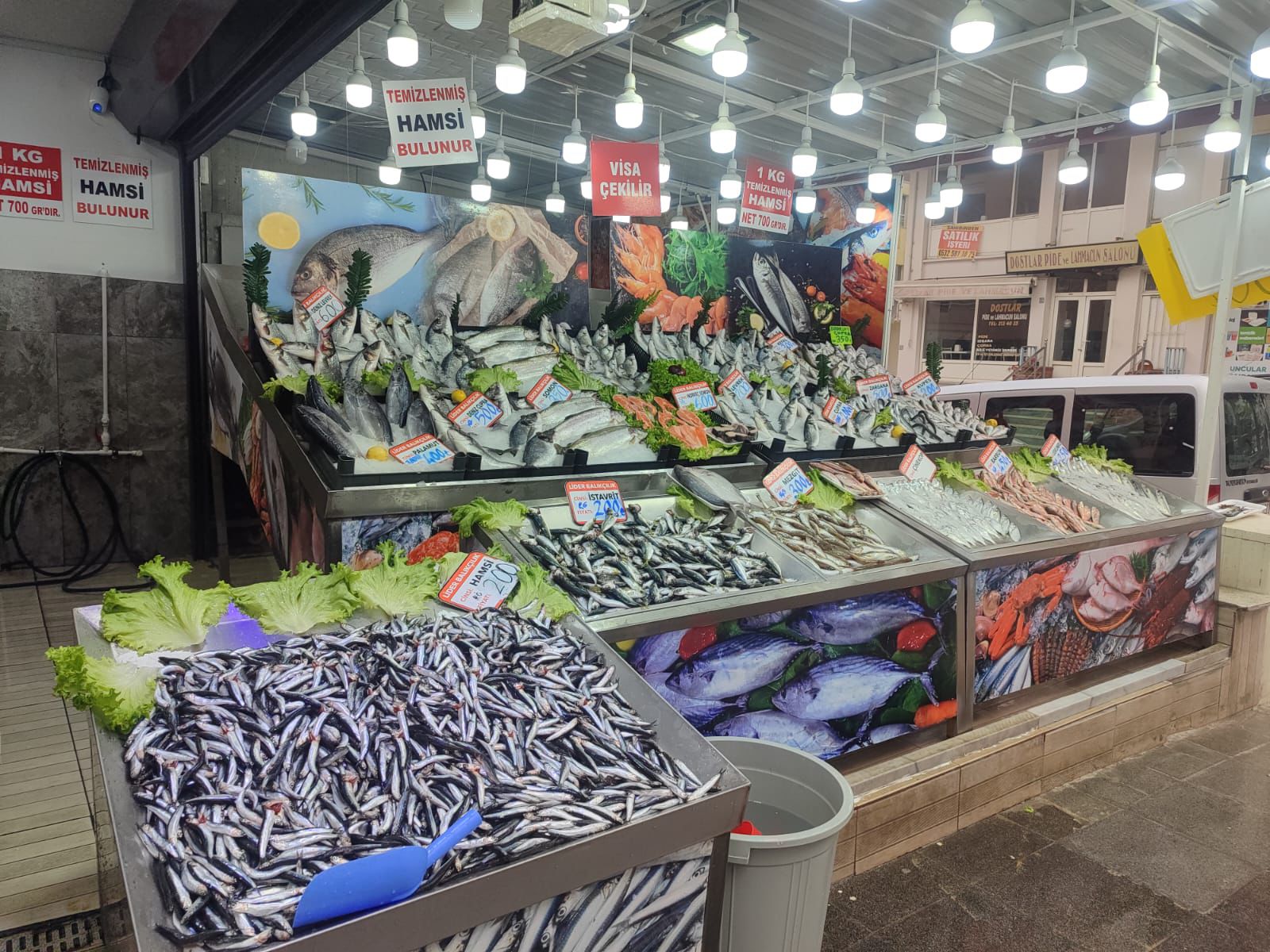 Lider Balıkçılık