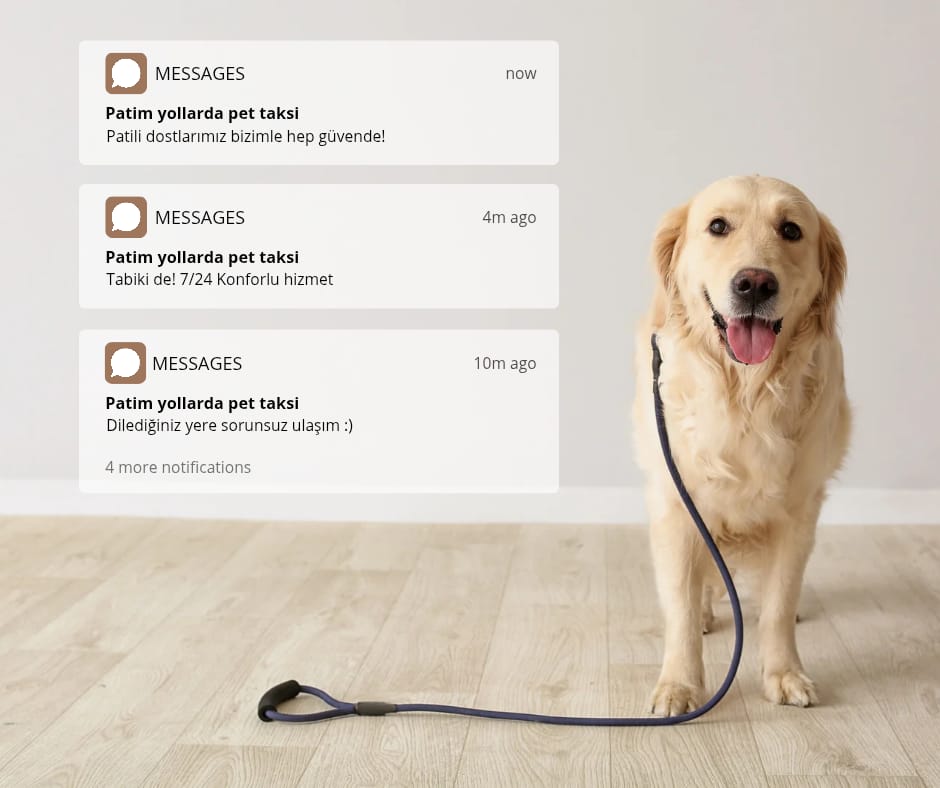 Patim Yollarda Pet Taksi