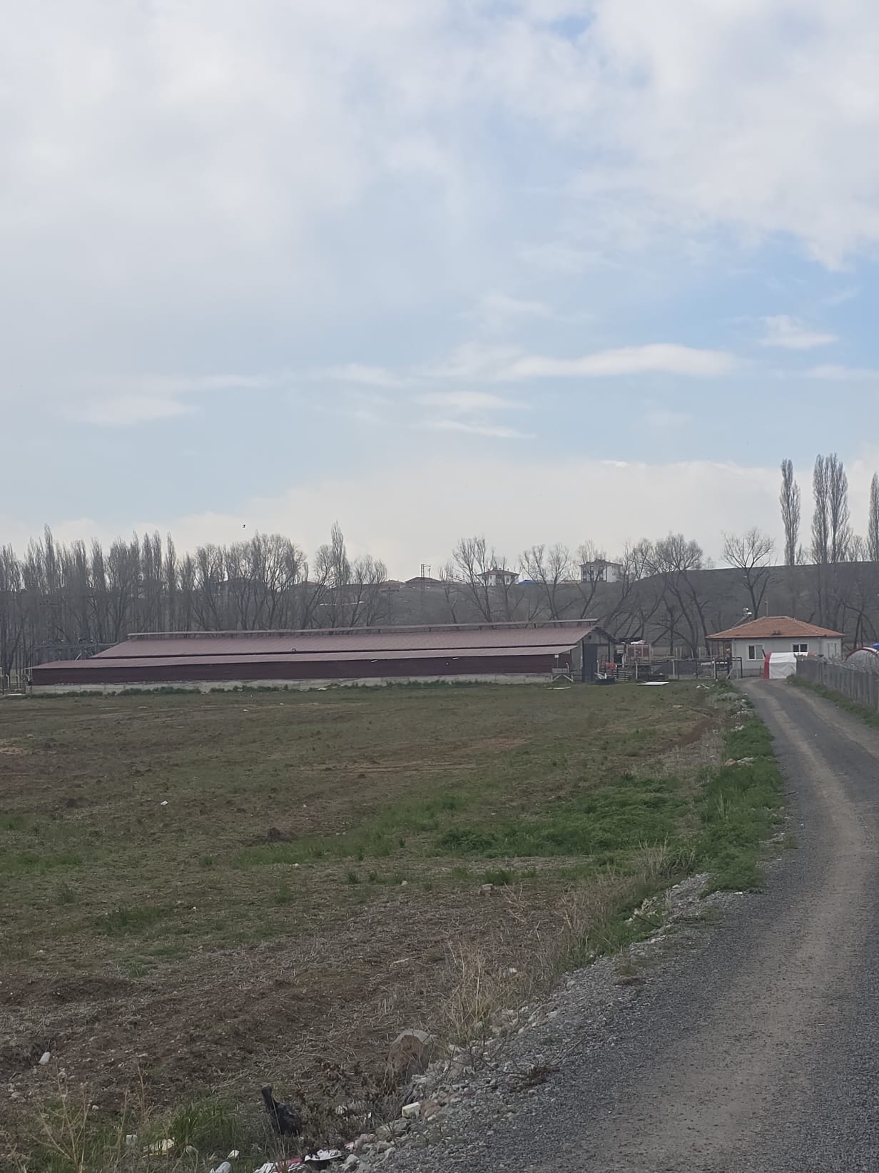 İkizler Besi Çiftliği