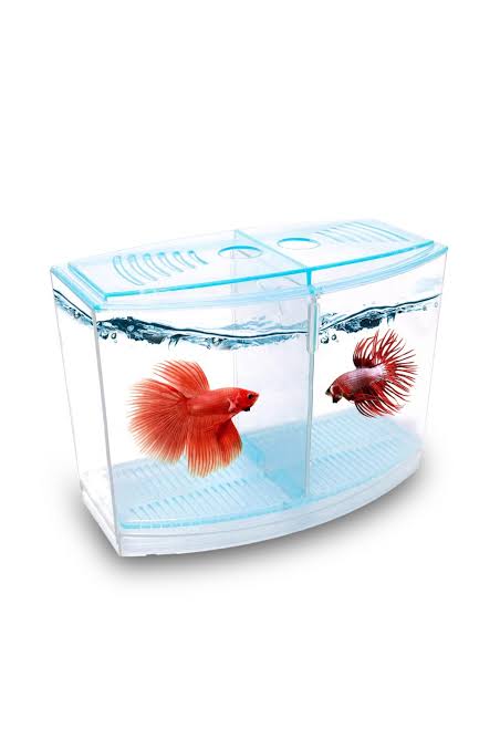 Ali Baba Pet Shop