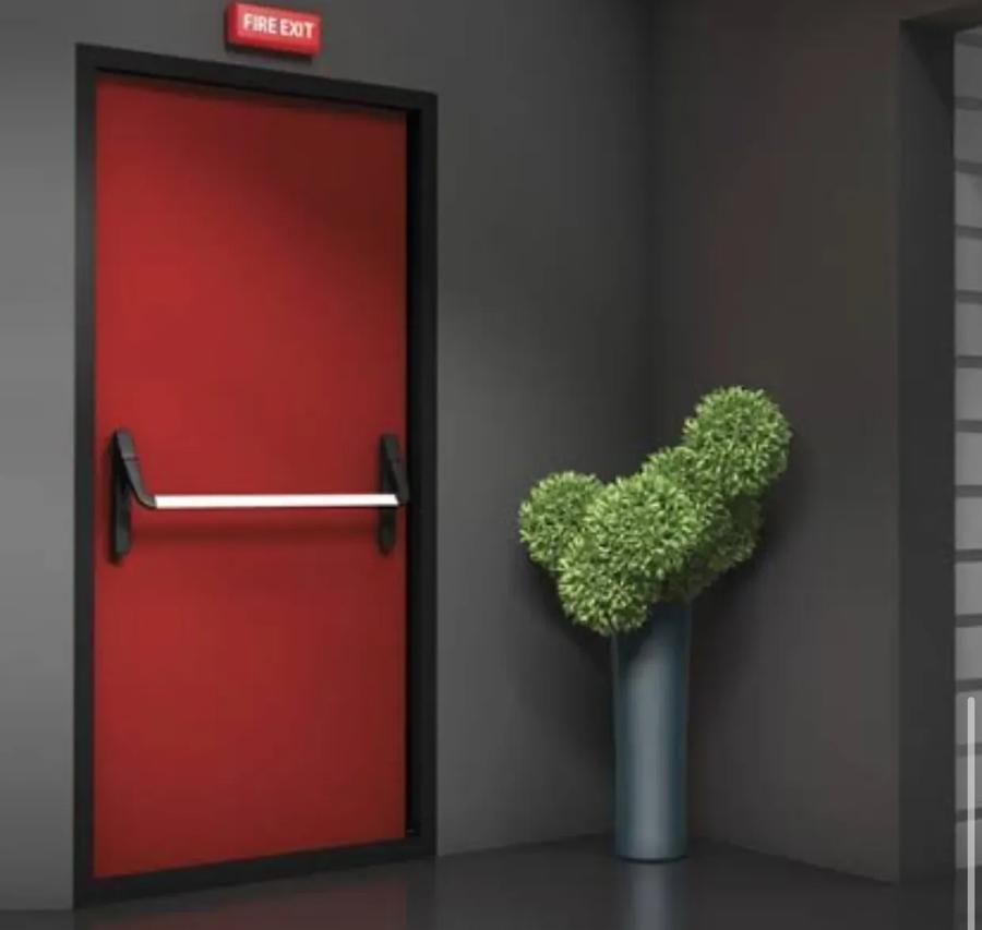 Janus Door