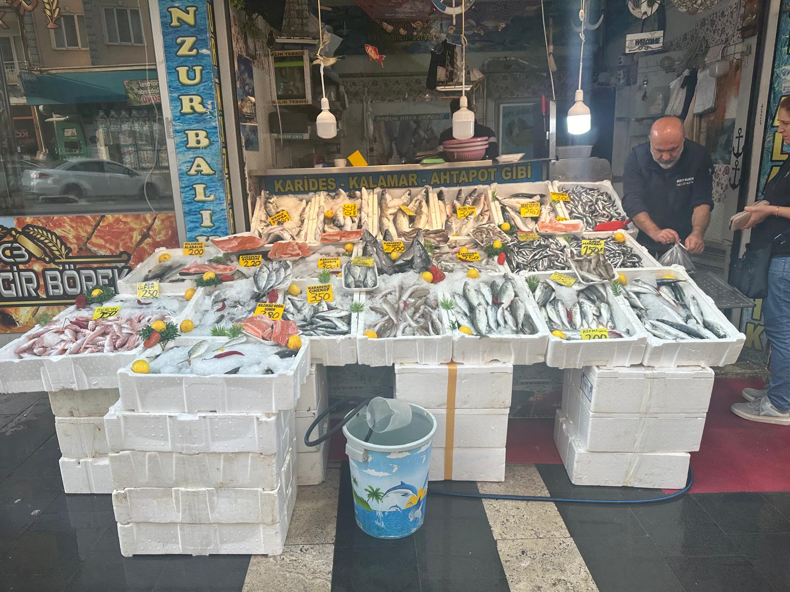 Munzur Balıkçısı