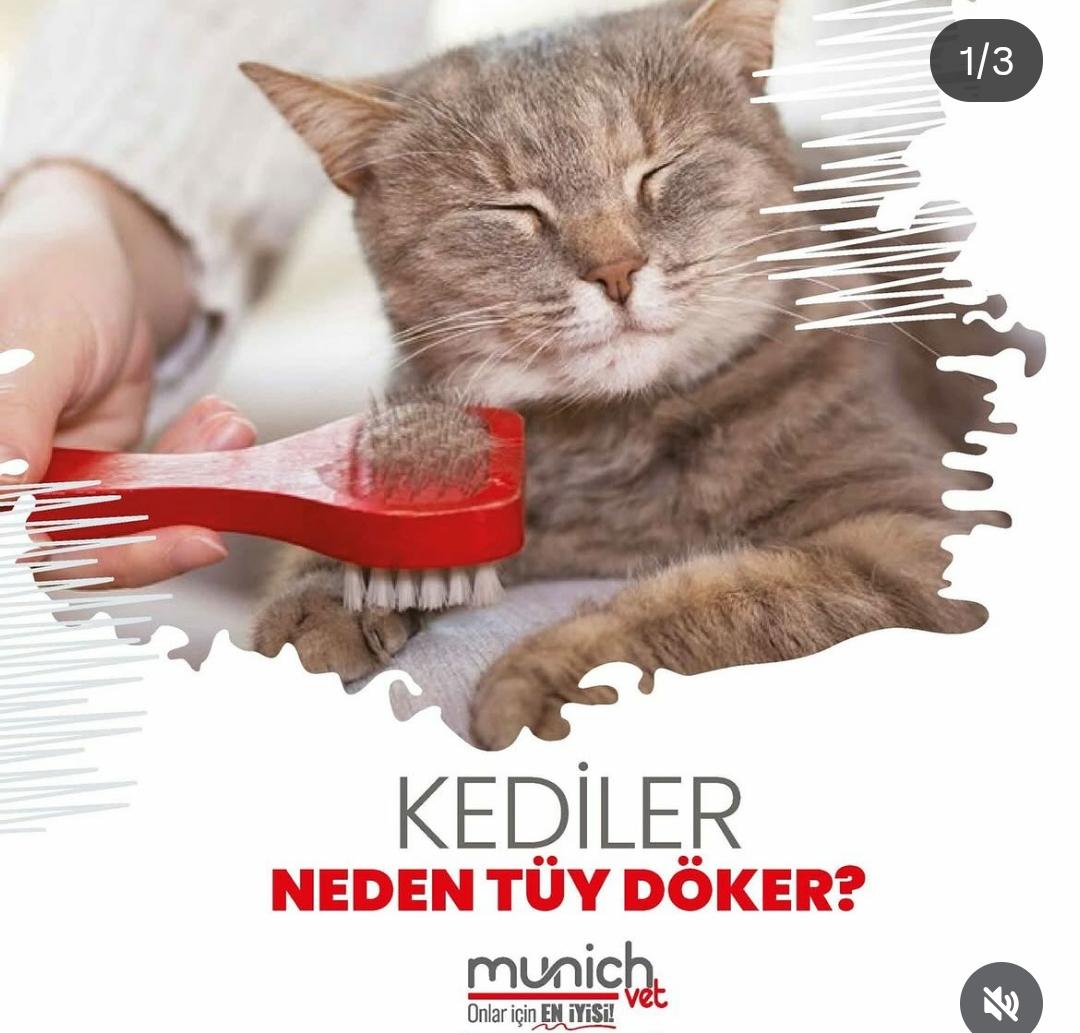 Yem Dünyası