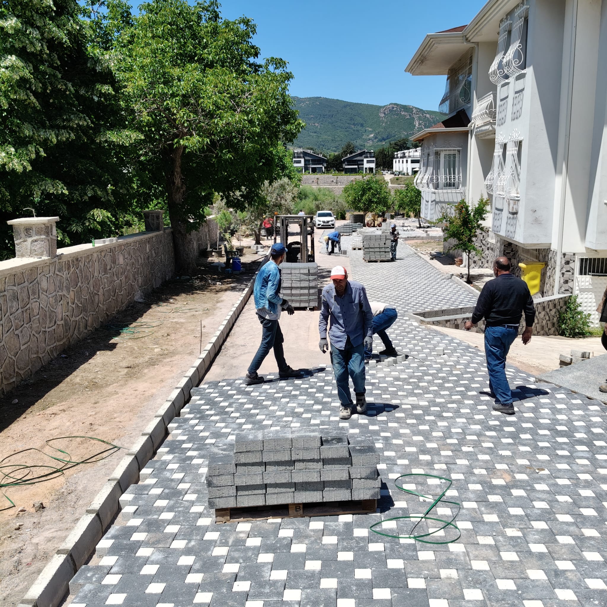 Asaf Beton Parke