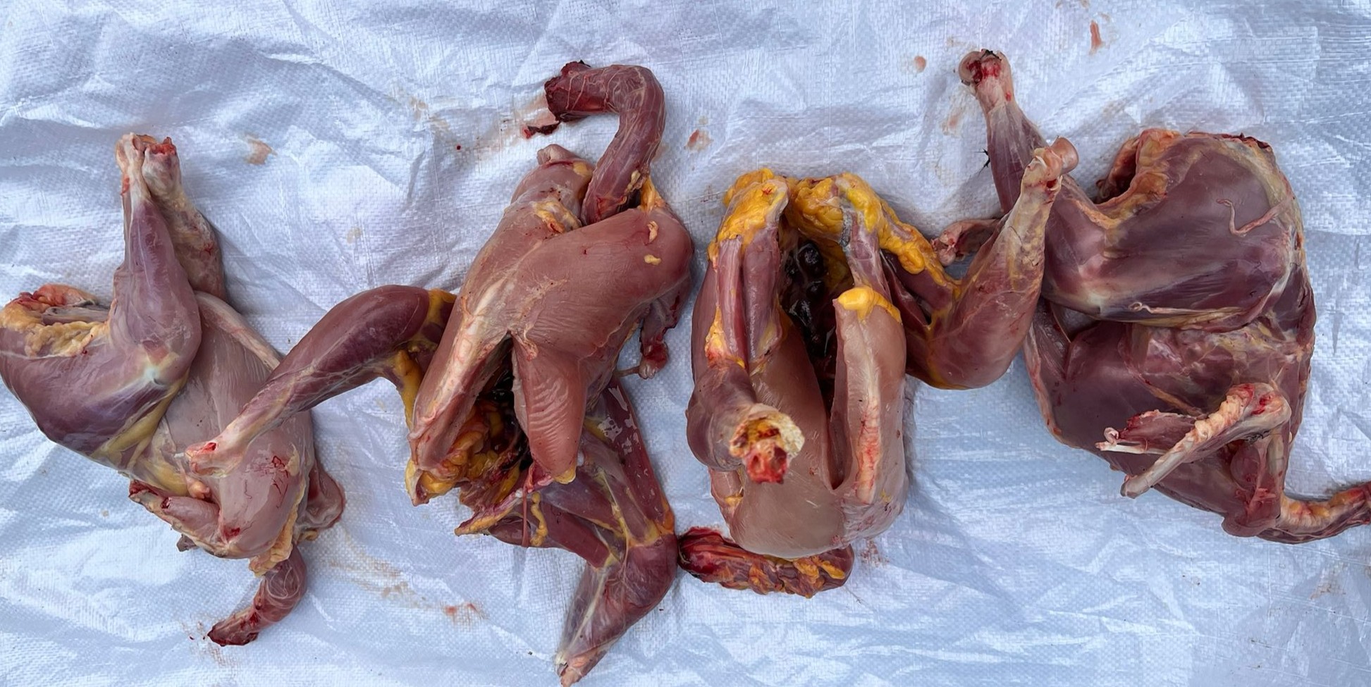 Gümüşay Şarküteri ve Köy Ürünleri